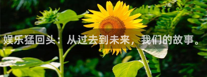 jdb电子体育3在线注册：娱乐猛回头：从过去到未来，我们的故事。