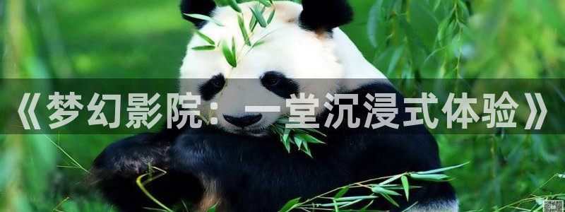 jdb电子包怎么样：《梦幻影院：一堂沉浸式体验》