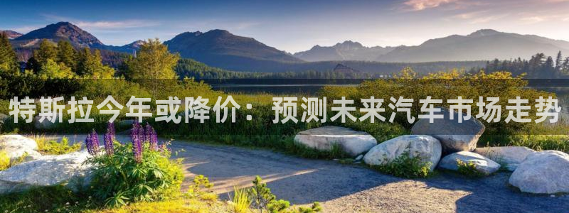 jdb电子体育凯捷平台主管：特斯拉今年或降价：预测未来汽车市场走势
