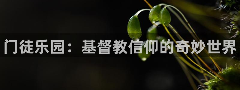 jdb电子集团总部：门徒乐园：基督教信仰的奇妙世界