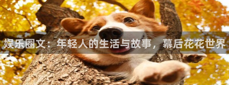 jdb电子集团股票：娱乐圈文：年轻人的生活与故事，幕后花花世界