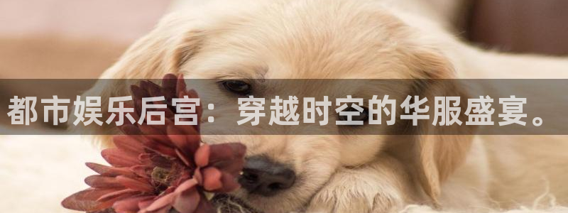 jdb电子5：都市娱乐后宫：穿越时空的华服盛宴。