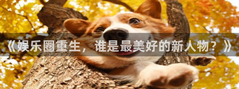 上海jdb电子汽车电子有限公司：《娱乐圈重生，谁是最美好的新人物？》