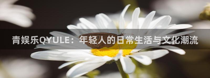 jdb电子平台官网：青娱乐QYULE：年轻人的日常生活与文化潮流