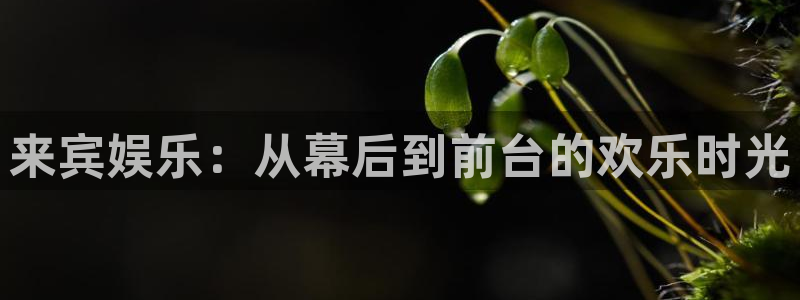 jdb电子体育3：来宾娱乐：从幕后到前台的欢乐时光