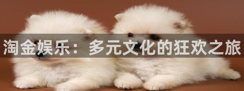 jdb电子招商：淘金娱乐：多元文化的狂欢之旅