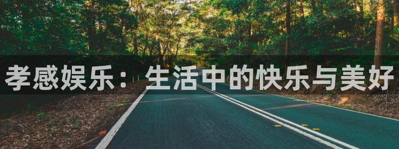 上海jdb电子汽车电子有限公司：孝感娱乐：生活中的快乐与美好