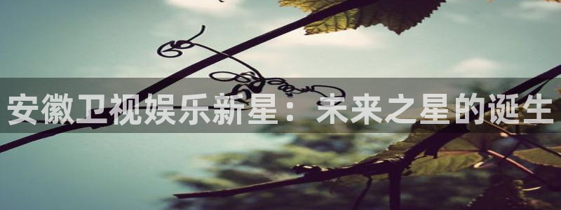 jdb电子官网注册：安徽卫视娱乐新星：未来之星的诞生