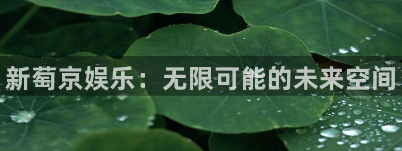 jdb电子3平台注册：新萄京娱乐：无限可能的未来空间