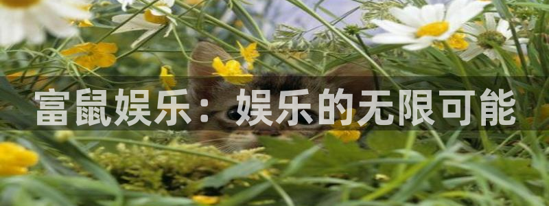 jdb电子注册：富鼠娱乐：娱乐的无限可能