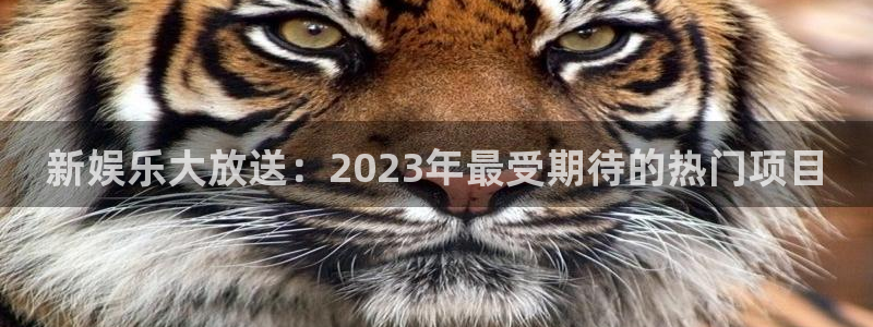 jdb电子体育代理