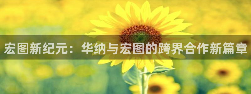 jdb电子5注册：宏图新纪元：华纳与宏图的跨界合作新篇章