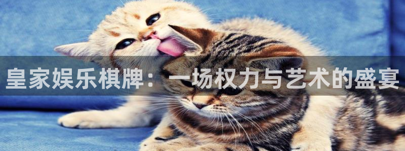 jdb电子体育官网注册：皇家娱乐棋牌：一场权力与艺术的盛宴