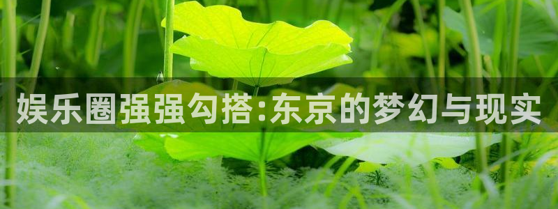 上海jdb电子汽车电子有限公司：娱乐圈强强勾搭:东京的梦幻与现实