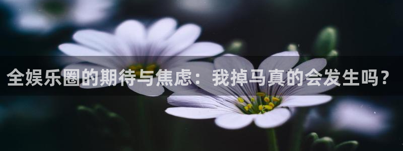 jdb电子官网入口：全娱乐圈的期待与焦虑：我掉马真的会发生吗？