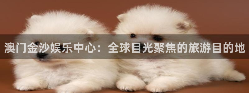 jdb电子体育注册：澳门金沙娱乐中心：全球目光聚焦的旅游目的地