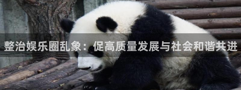 jdb电子3注册：整治娱乐圈乱象：促高质量发展与社会和谐共进